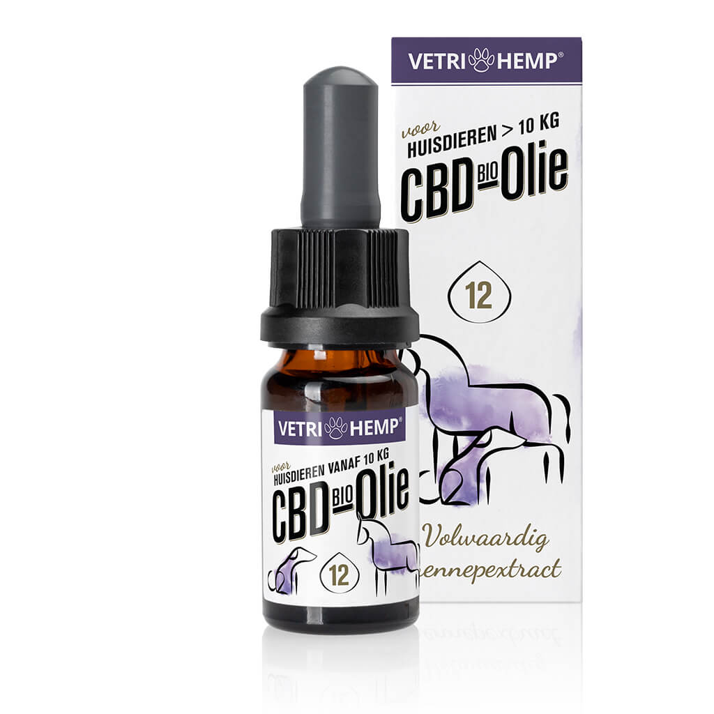 CBD Olie voor grote huisdieren