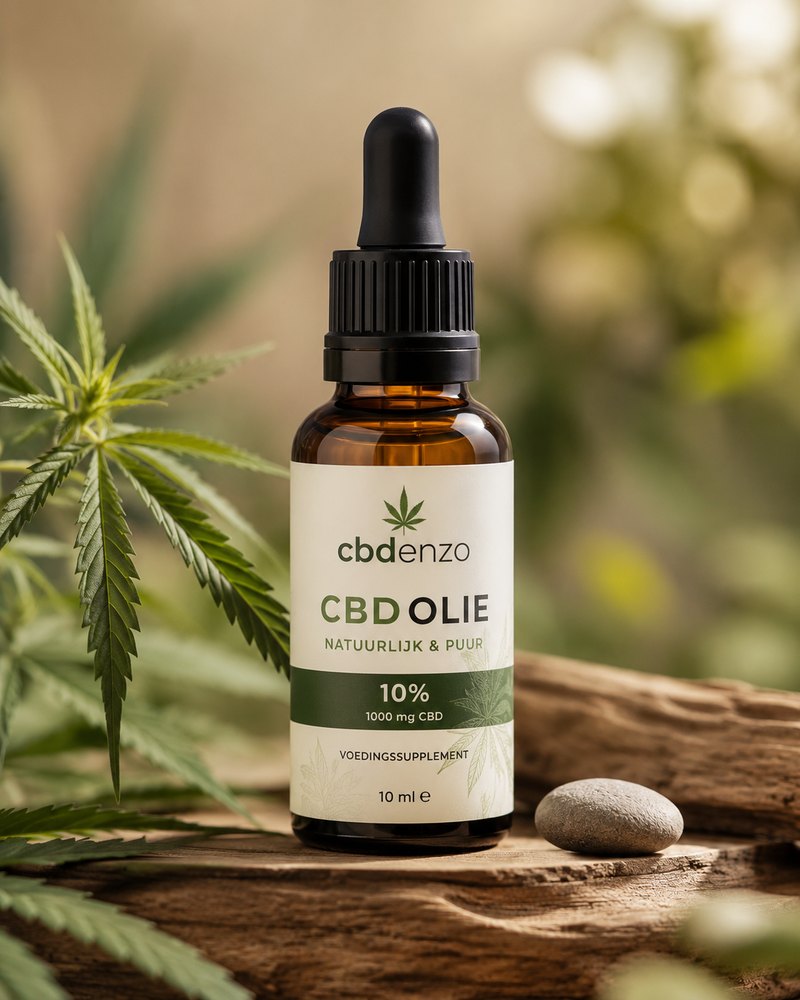 CBD-olie 10% van CBD enzo.nl Flesje CBD-olie 10 procent van CBD enzo.nl, staand op hout tussen hennepbladeren